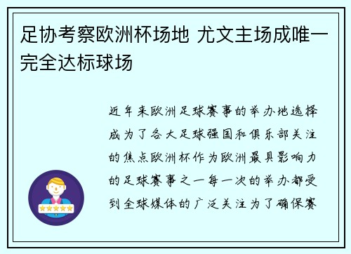 足协考察欧洲杯场地 尤文主场成唯一完全达标球场 足协考察欧洲杯场地 尤文主场成唯一完全达标球场